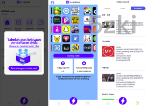 25年爆款2025年新款多国的语言 app优化刷单系统 抢单刷单系统vue 订单自动匹配系统 国外盘源码 打针功能 连单卡单