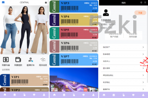 25年爆款2025年新款多国的语言 国外盘刷单抢单系统 分组打针做单 订单自动匹配 连单卡单