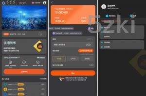 2025年新款多国的语言 借币贷款 套路贷款 usdt货款源码 借币系统