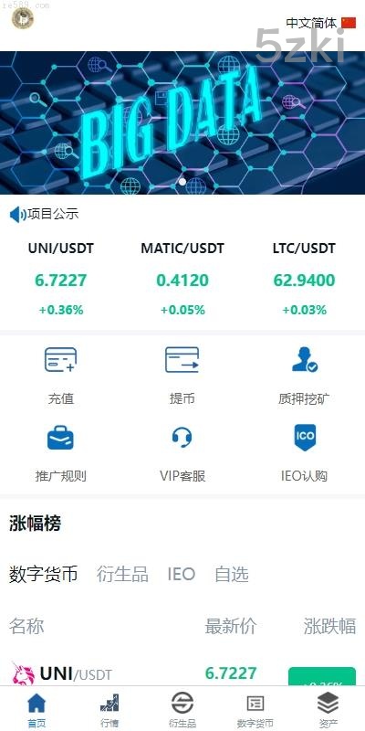 虚拟币外汇交易 2025年新款多国的语言 交易所系统 期权合约交易 VUE PHP